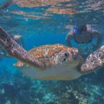 Luxury Sailing & Snorkeling Experience from Riviera Maya - Final Thoughts