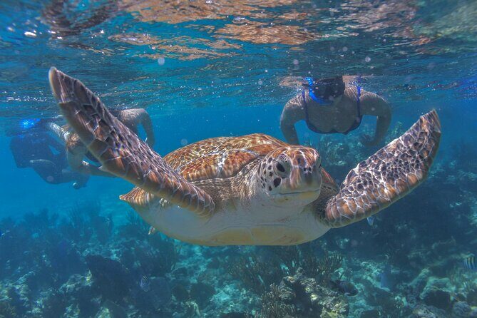 Luxury Sailing & Snorkeling Experience from Riviera Maya - Final Thoughts