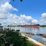 Luxury Semi-Private 4 Guest Seaside & Coastal eBike Tour |3-3.5Hr - The Sum Up