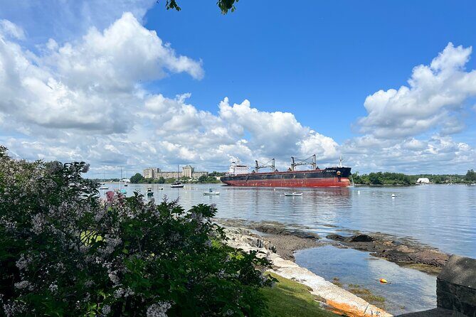 Luxury Semi-Private 4 Guest Seaside & Coastal eBike Tour |3-3.5Hr - The Sum Up