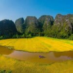 Luxury Small Group Tour in Tam Coc, Mua Cave, Bich Dong Pagoda - Who Will Love This Tour?
