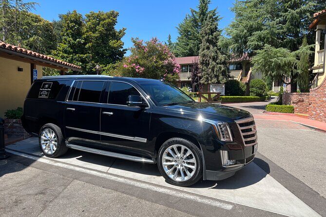 Luxury Wine Tasting in Paso Robles with Pour Decisions - The Sum Up