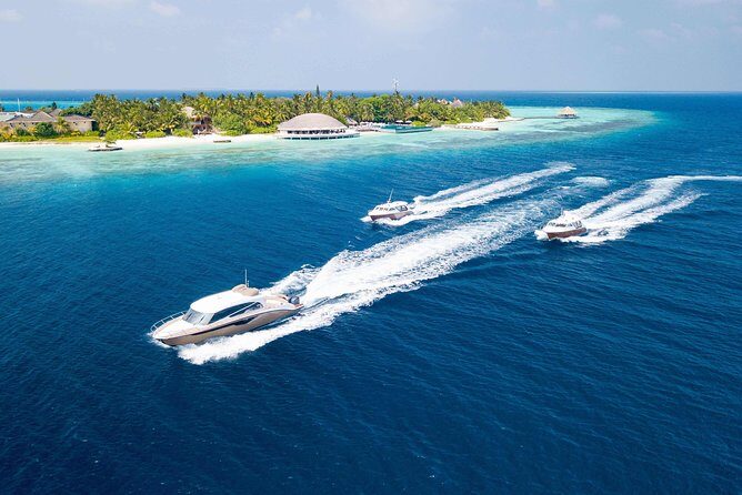 Maafushi: Airport Transfer By Speedboat - Pricing, Value, and Authenticity