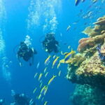 Maafushi: Discover Scuba Diving Class, First Time Experience - Final Thoughts: Is This Tour Right for You?