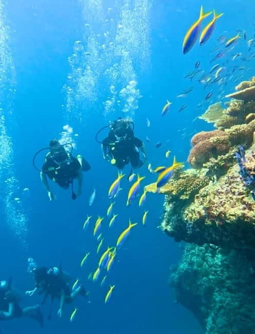 Maafushi: Discover Scuba Diving Class, First Time Experience - Final Thoughts: Is This Tour Right for You?