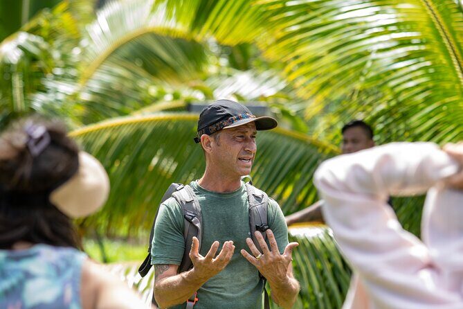 Macnut Tour, Picnic lunch and Maui Bees - Walking Through Maui’s Sustainable Farm: What to Expect