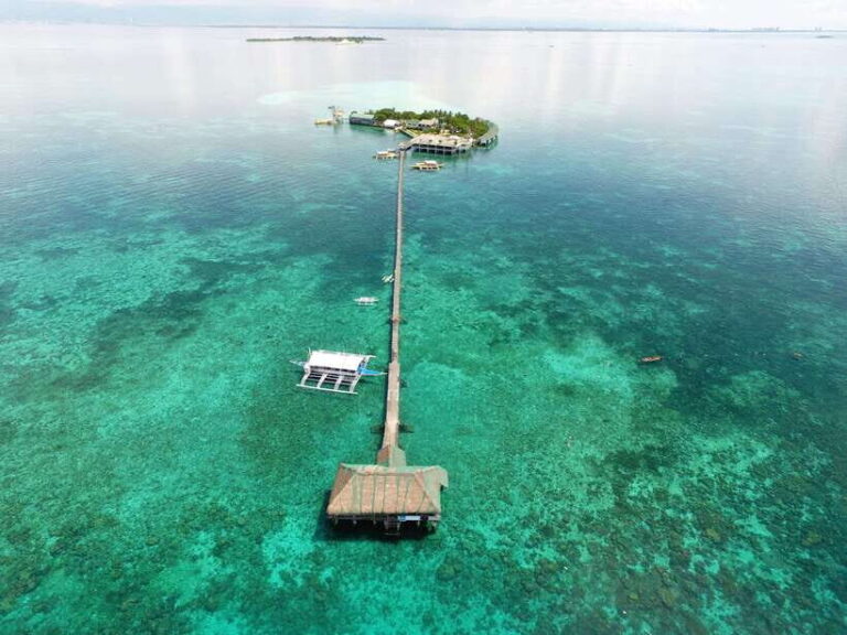 Mactan Cebu Island Hopping Snorkeling with Lunch - Who Will Love This Tour?