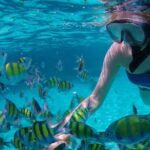 Mactan Cebu Island Hopping with Lunch - Gilutungan, Caohagan, Nalusuan - Who This Tour Is Best For