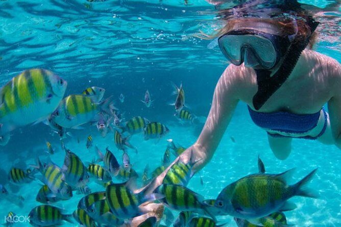 Mactan Cebu Island Hopping with Lunch - Gilutungan, Caohagan, Nalusuan - Who This Tour Is Best For