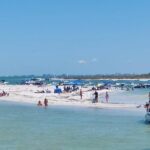 Madeira Beach - Shell Key - Dolphins - Half Day Private Boat Tour - Why Choose This Tour?