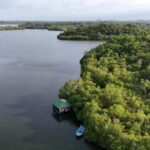 Madu River Boat Cruise & Cinnamon Garden All Inclusive Tour - A Closer Look at the Experience