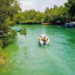 Madu River Boat Tour and Cinnamon Garden visit - An In-Depth Look at the Madu River Experience