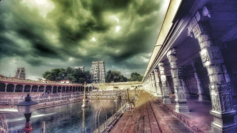 Madurai: City Highlights Temple and Market Tour - Why You Should Consider This Tour