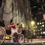 Magical Evening Horse-Drawn Carriage through NYC (65 min) - An In-Depth Look at the Experience