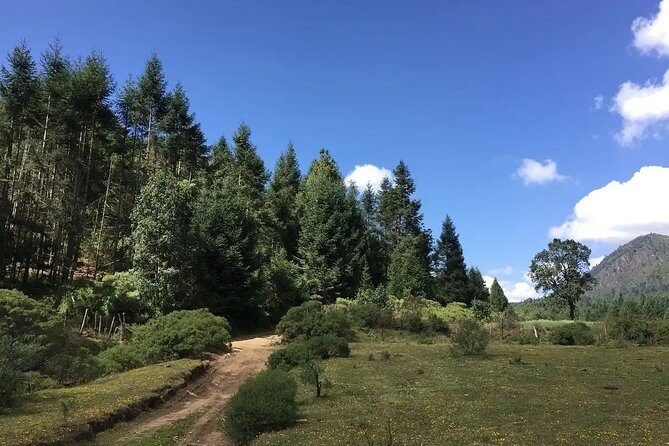 Magical Santa Clara leaving from Morelia - Authentic Experiences That Matter