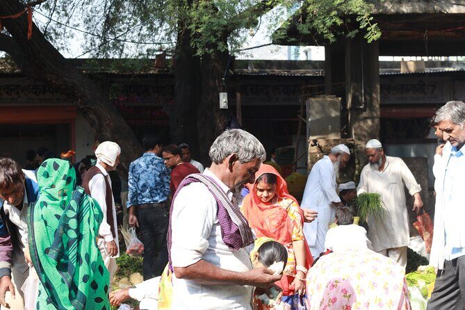 Magical Walk of Jaipur - Final Thoughts