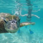 Mahina Hawaii Full Day Adventure - An In-Depth Look at the Mahina Hawaii Full Day Adventure