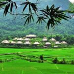 Mai Chau Getaway 1 Day from Hanoi - Small Group - Limousine bus - A Detailed Look at the Mai Chau Getaway