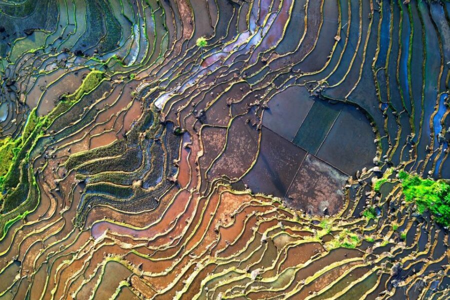 Mai Chau Pu Luong 2 days 1 night - New tour - Sale off 20% - Who Is This Tour Best For?