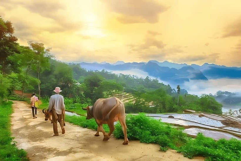 Mai Chau Valley 2-Day, 1-Night Adventure from Hanoi - Evening Cultural Immersion