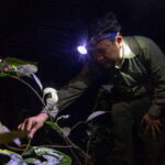 Mai Chau Valley Cycling Hiking To Chieu Cave Tour From Hanoi - Practical Tips for Making the Most of Your Trip