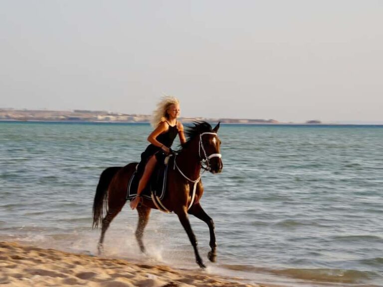 Makadi Bay: Horse Riding in Desert & Sea w Guide + Transfers - An In-Depth Look at the Makadi Bay Horse Riding Tour