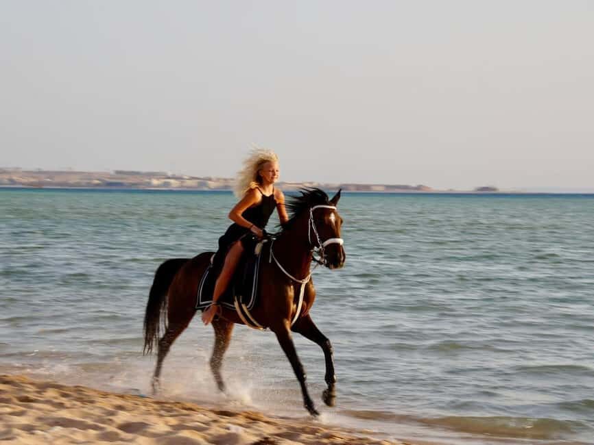 Makadi Bay: Horse Riding in Desert & Sea w Guide + Transfers - An In-Depth Look at the Makadi Bay Horse Riding Tour