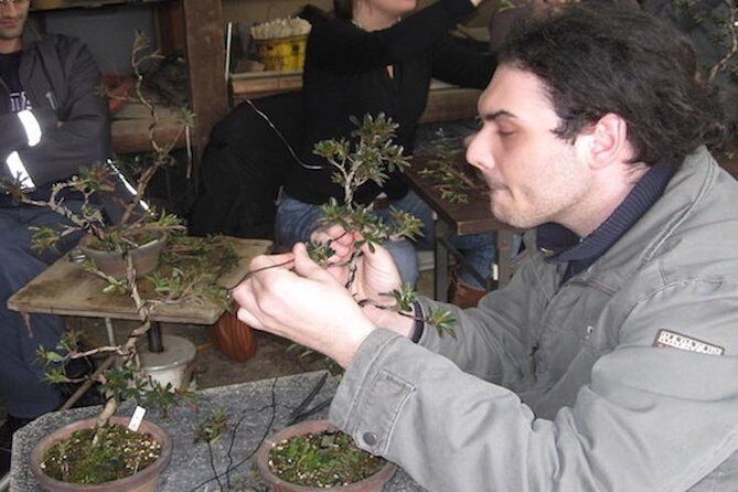 Make your own BONSAI with a professional artist in Tokyo - Why This Tour Stands Out