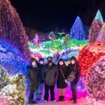 Make Your Trip Around Nami Island With an Expert(DSLR option) - Who Should Consider This Tour?