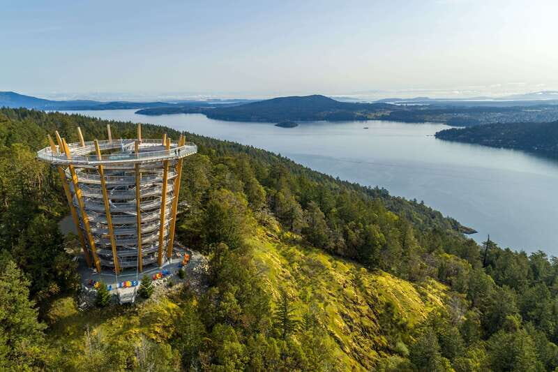 Malahat SkyWalk Ticket - An In-Depth Look at the Malahat SkyWalk Experience