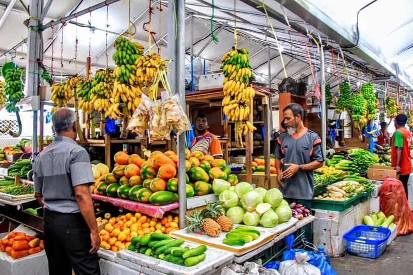 Maldives: Male City Private Walking Tour - Value and Practicalities