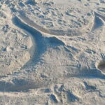 Maldives: Sandbank, Snorkelling & Sunset Cruise - Who Is This Tour Best For?