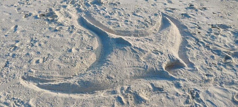 Maldives: Sandbank, Snorkelling & Sunset Cruise - Who Is This Tour Best For?