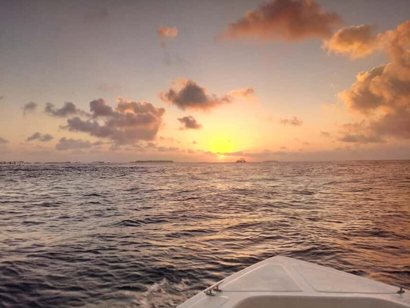 Maldives: Sunset Cruise with Dolphin Watching - The Itinerary: What Makes It Special