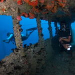 Maldives: Victory Shipwreck Scuba Dive - Why We Love This Experience