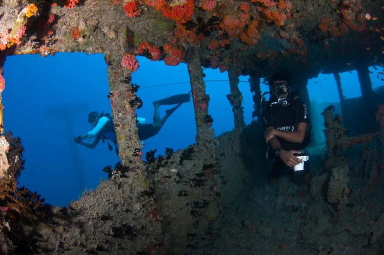 Maldives: Victory Shipwreck Scuba Dive - Why We Love This Experience