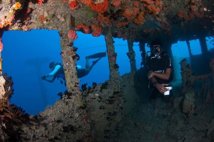 Maldives: Victory Shipwreck Scuba Dive - Why We Love This Experience