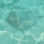 Malé: Two-Point Snorkelling Adventure - Discovering the Coral Reefs of Malé