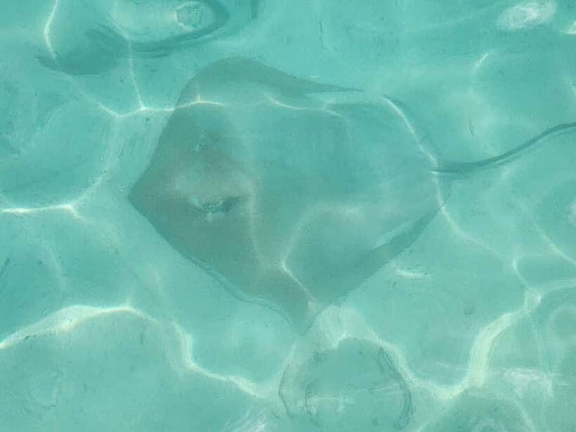 Malé: Two-Point Snorkelling Adventure - Discovering the Coral Reefs of Malé