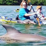 Manatee And Dolphin Tour - Who Will Love This Tour?