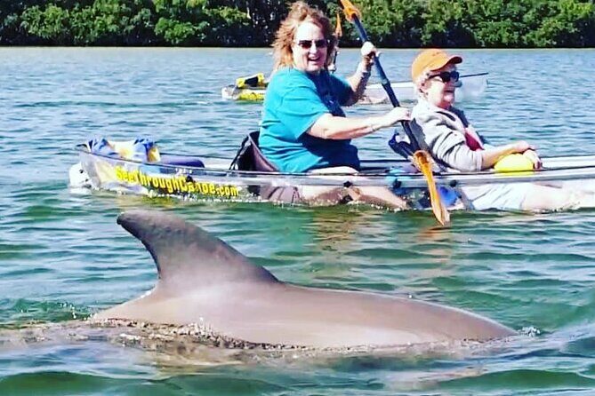 Manatee And Dolphin Tour - Who Will Love This Tour?