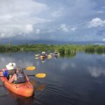 Manatees and Mangrove Tunnels Small Group Kayak Tour - Exploring the Itinerary: What to Expect from Start to Finish