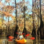 Manchac Swamp EXTENDED Kayak Tour with Pickup - Key Points