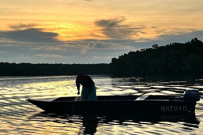 Mangrove Cruise with Fireflies Tour Including Dinner from Sandakan - What the Reviews Reveal