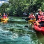 Mangrove Kayaking Adventure in Singapore - Authentic Review Snippets: What Travelers Say