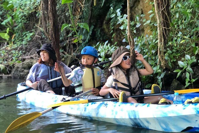 Mangrove kayaking to enjoy nature in Okinawa - Who Would Love This Tour?