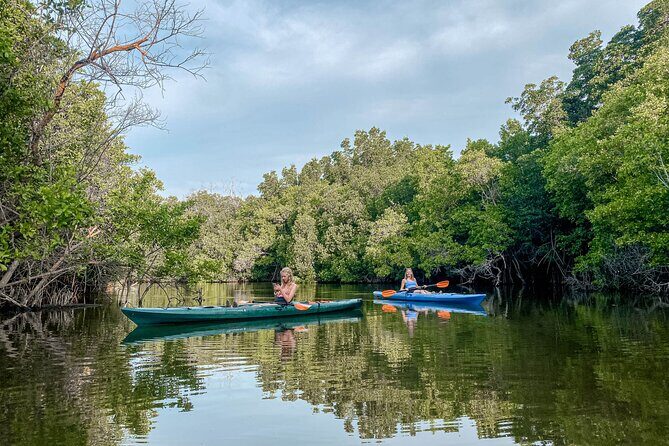 Mangrove Kayaking Tour - Frequently Asked Questions
