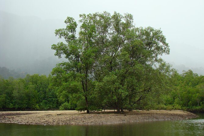 Mangrove River Cruise and Snorkeling Tour from Langkawi - Final Thoughts: Is This Tour Right for You?