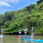 Mangrove SUP in Okinawa - An In-Depth Look at the Mangrove SUP Tour in Okinawa
