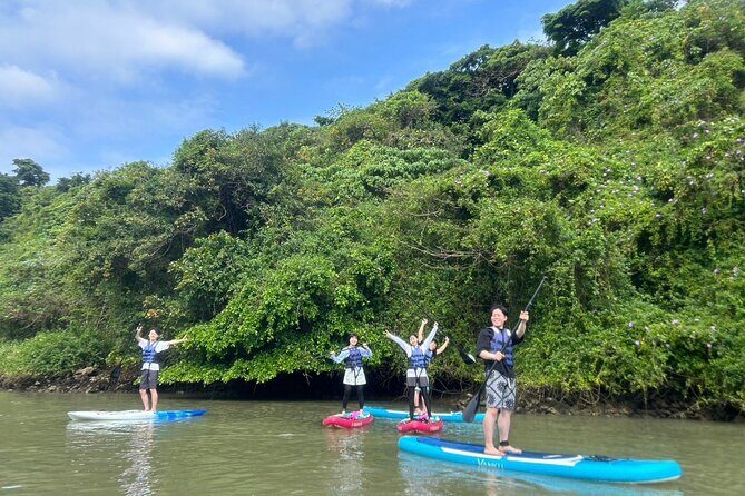 Mangrove SUP in Okinawa - An In-Depth Look at the Mangrove SUP Tour in Okinawa